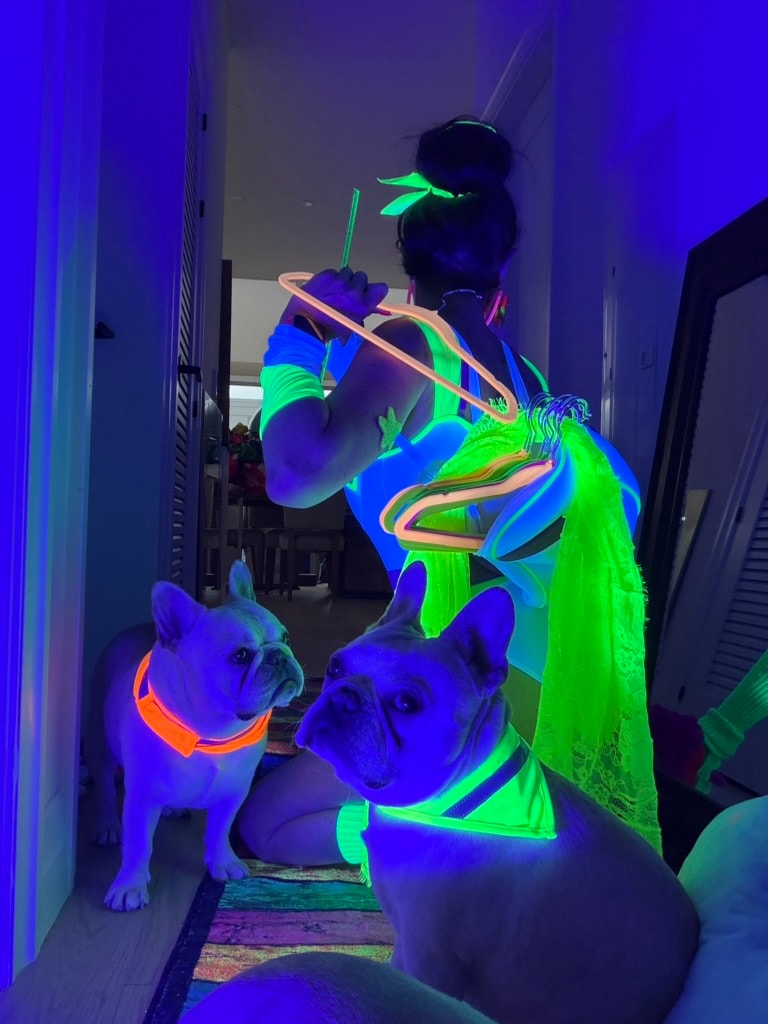 WittyKitty neon outfit with two dogs