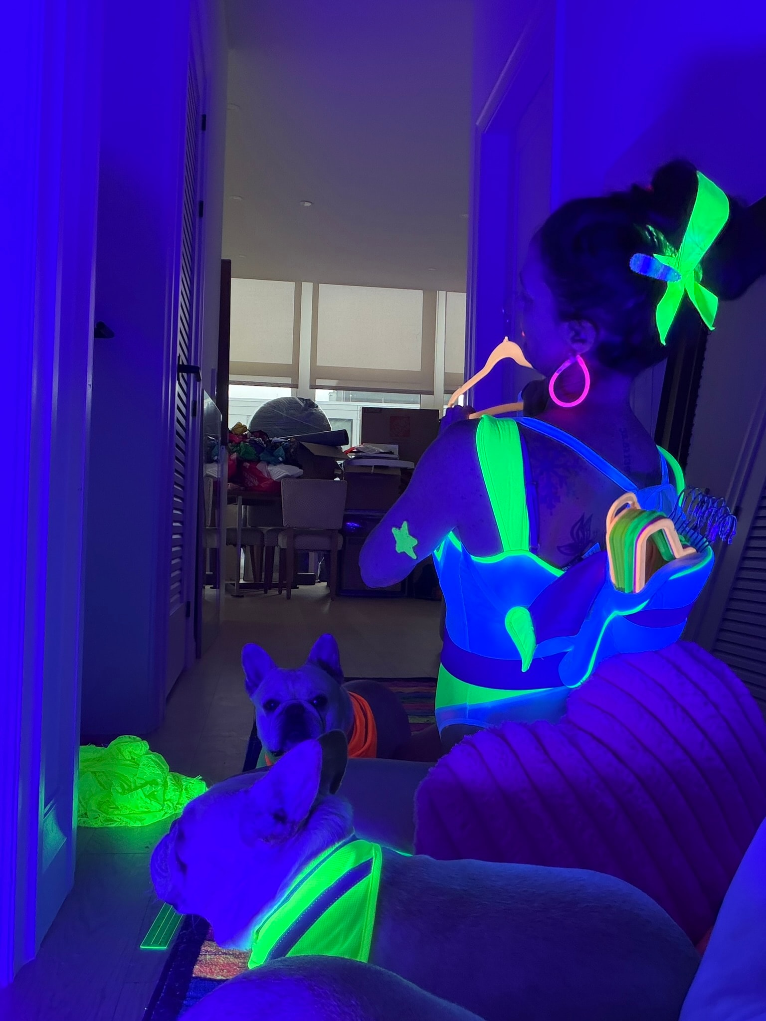 Neon glow art installation with dog